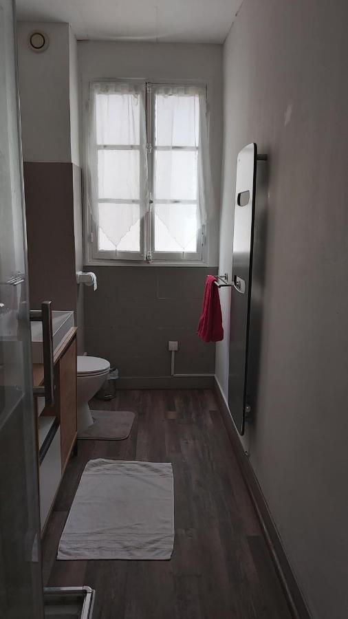 Grande Maison De Ville Au Centre Saint Aignan 外观 照片